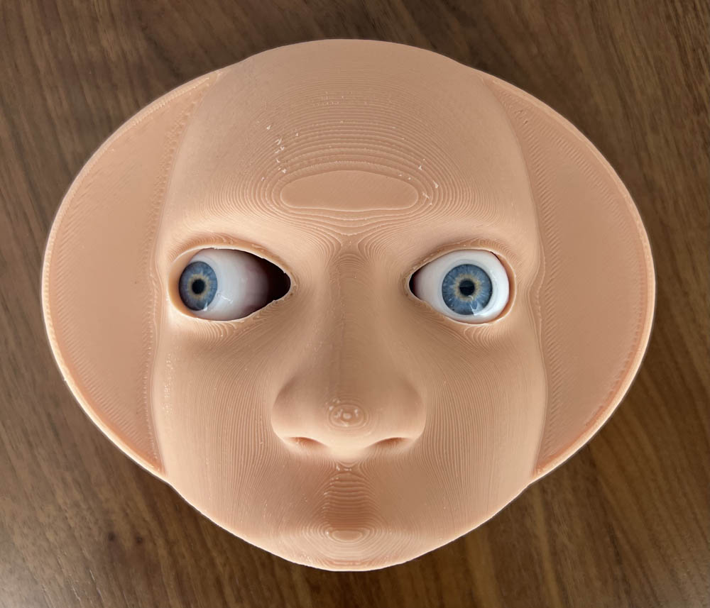 Strab Lab Strabismus Model: Faceplate, Base and 2 Eyes - Wright Center